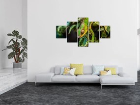 Obraz kameleona (125x70 cm)