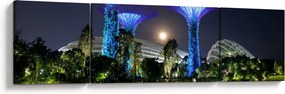 Obraz przedstawiający pełnię księżyca w ogrodach Singapuru (170x50 cm)