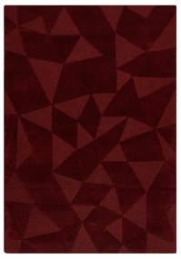Bordowy wełniany dywan tkany ręcznie 120x170 cm Shard Red – Flair Rugs