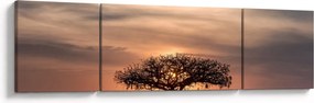Obraz zachodu słońca w Tanzanii (170x50 cm)