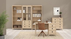 Dwudrzwiowa witryna z szufladami Madrid, jackson hickory