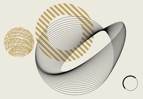 Fototapeta - Abstrakcyjne linie i koła (196x136 cm)