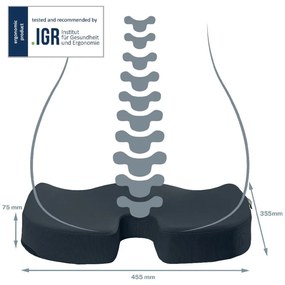 Ergonomiczna poduszka do siedzenia Ergo Cosy – Leitz