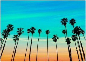 Obraz na szkle - Kalifornia (70x50 cm)