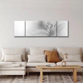 Obraz - Delikatna lilia (170x50 cm)