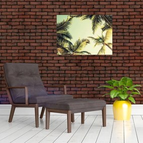 Obraz na szkle z palmami kokosowymi (70x50 cm)