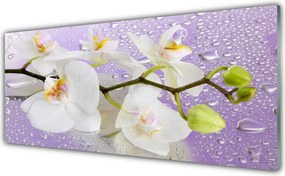 Szkło do Kuchni na Ścianę Pełnia Kwiatowego Rozkwitu