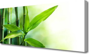 Fotoobraz na płótnie Egzotyczny Detal Liścia