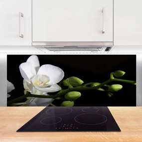 Panel Szklany Botaniczna Elegancja Kwiatów