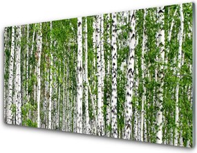 Panel Szklany do Kuchni Świetlisty Las Brzozowy