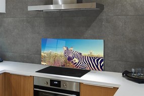 Panel szklany do Kuchni Zebra wśród Polnych Kwiatów
