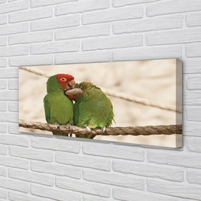 Obraz canvas na ścianę Zielone Papugi w Gęstwinie
