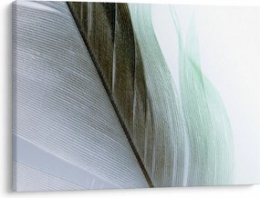 Obraz - Pióra, makro (70x50 cm)