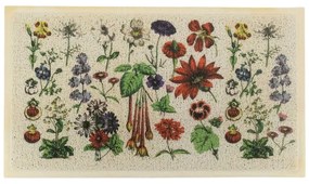 Wycieraczka 40x70 cm Botanicals – Artsy Doormats