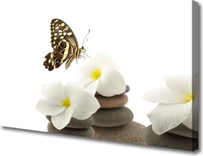 Zdjęcie na płótnie Motyl na Kamiennej Orchidei