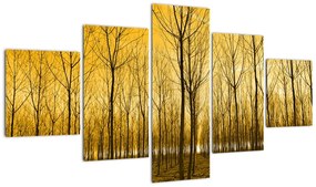 Obraz lasu o zachodzie słońca (125x70 cm)