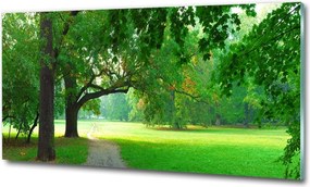 Foto obraz szkło hartowane Park jesienią