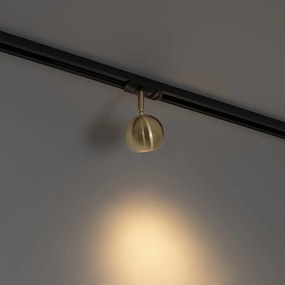 Nowoczesny reflektor szynowy jednofazowy czarny ze złotem - Gissi