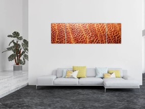 Obraz - Szczegóły tekstury (170x50 cm)
