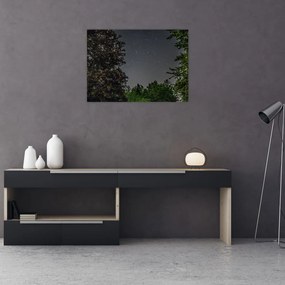 Obraz nocnego nieba (70x50 cm)