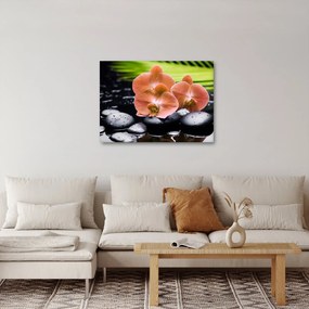Obraz - Pomarańczowa orchidea z liśćmi palmy (70x50 cm)