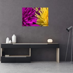 Obraz - szczegóły kwiatów (70x50 cm)