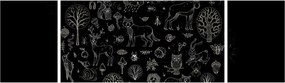 Obraz - Natura (170x50 cm)