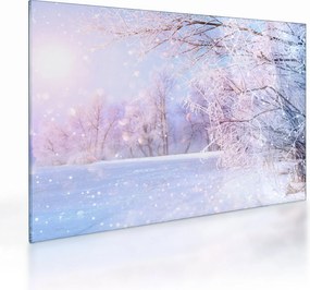 Obraz na szkle - Mroźna zima (70x50 cm)