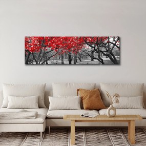 Obraz - Czerwone drzewa, Central Park, New York (170x50 cm)