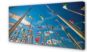 Obraz drukowany na płótnie Różnorodne Flagi