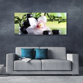 Obraz canvas Promienie Słońca w Zielonych Liściach