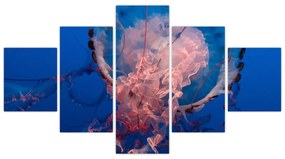 Obraz meduzy (125x70 cm)