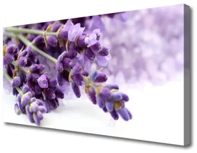 Obraz Canvas Kwiaty Natura Rośliny
