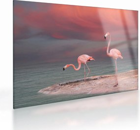 Obraz na szkle flamingów (70x50 cm)