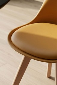 Krzeso podstawowe Synk