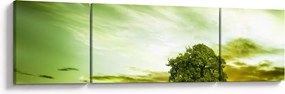 Obraz - Drzewo życia (170x50 cm)