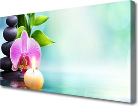 Obraz canvas Orchidea nad Lustrem Wody