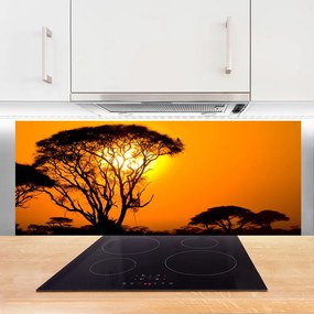 Panel Kuchenny Słońce Przebijające Przez Liście