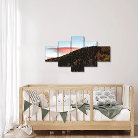 Obraz rudzików nad wzgórzem (125x70 cm)
