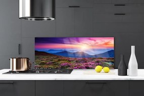 Panel Kuchenny Kwiatowa Polana W Górach