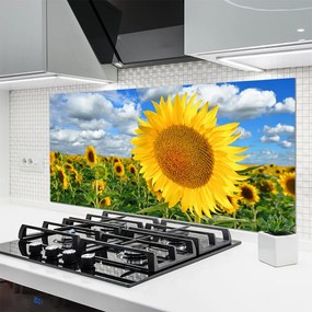 Panel Szklany do Kuchni Złoty Słonecznik pod Niebem