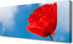 Obraz na płótnie Klasyczna Forma Tulipana