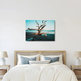 Obraz -  Wyłowiono na plaży (70x50 cm)