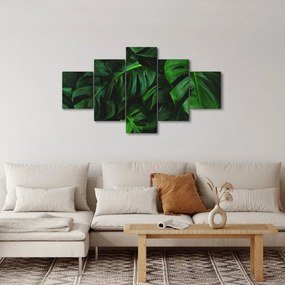 Obraz liści Monstery (125x70 cm)