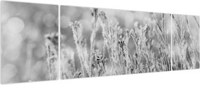 Obraz - Mroźna zima (170x50 cm)