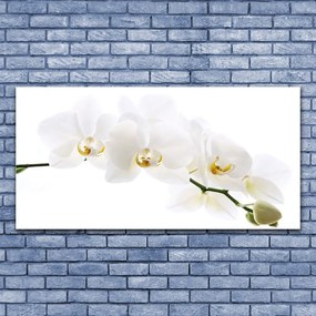 Obraz na płótnie Egzotyczna Elegancja Orchidei