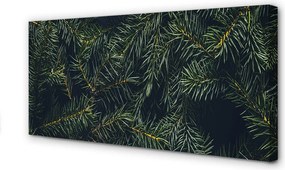 Zdjęcie na płótnie Gałązki i Choinka