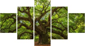 Obraz - Zielone drzewo (125x70 cm)