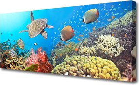 Obraz na płótnie Kolorowe Życie Rafy Koralowej