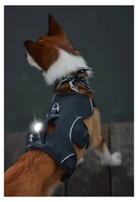 Lampka LED na obrożę White – Orbiloc